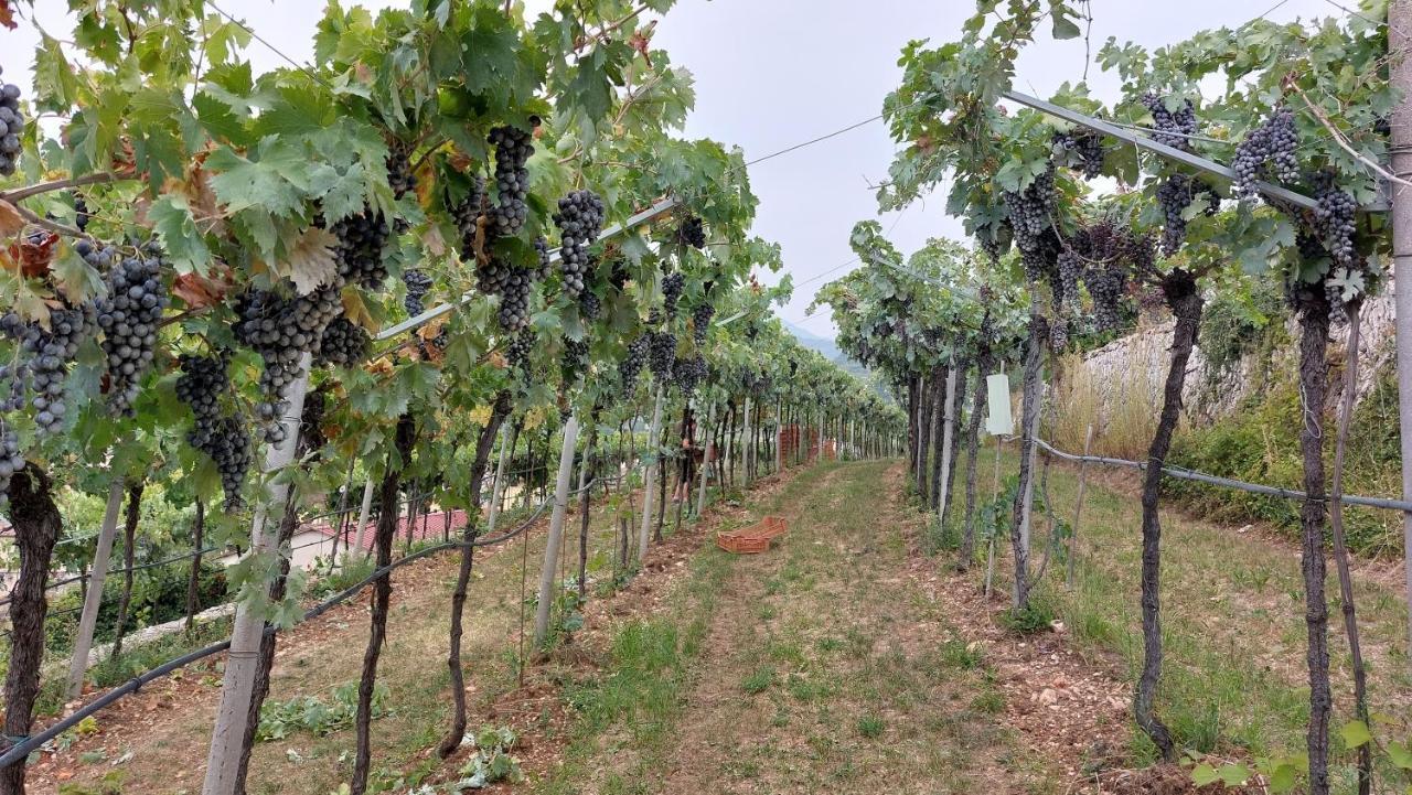 Azienda Agrituristica Corteforte Фумане Экстерьер фото