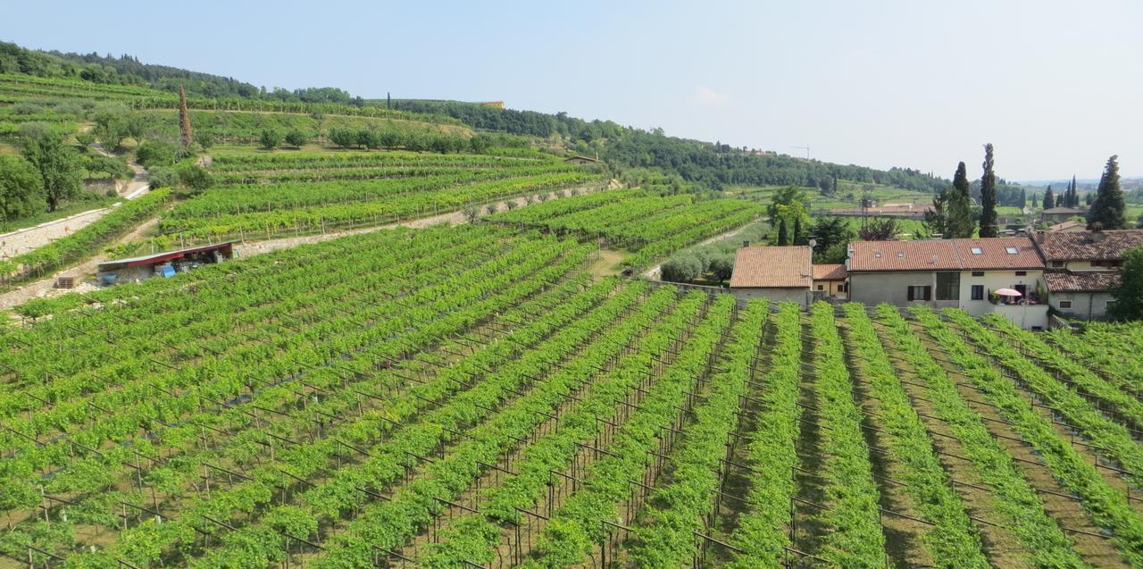 Azienda Agrituristica Corteforte Фумане Экстерьер фото